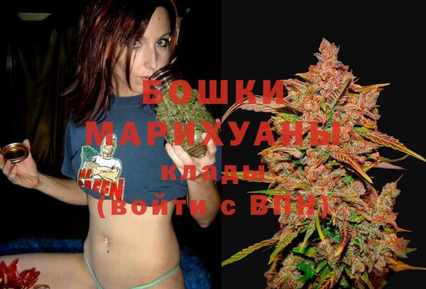 apvp Белокуриха