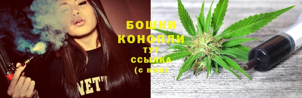 apvp Белокуриха