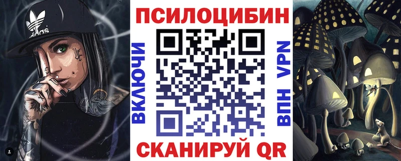 Псилоцибиновые грибы Psilocybine cubensis  Выборг 